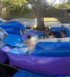 16FT PURPLE CRUSH WET/DRY SLIDE