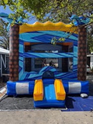 FLASHOINT FALLS BOUNCE HOUSES